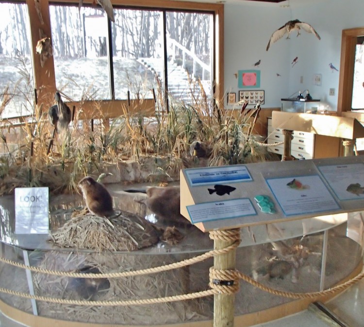 Prairie Grass Nature Museum - Round Lake Area Park District (Round&nbspLake,&nbspIL)